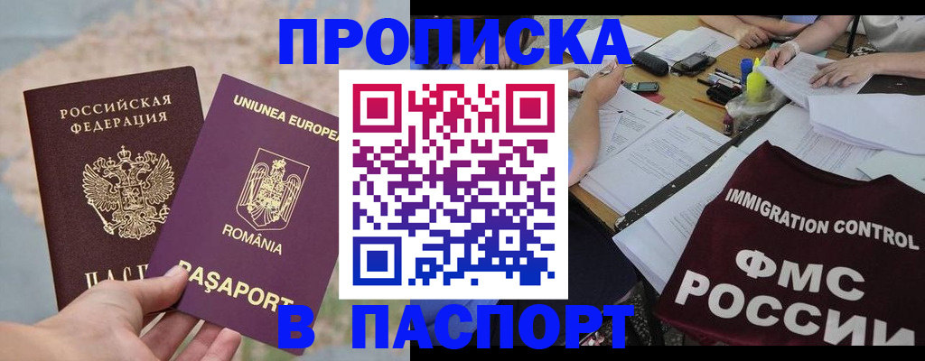 временная регистрация госуслуги в Камчатской области